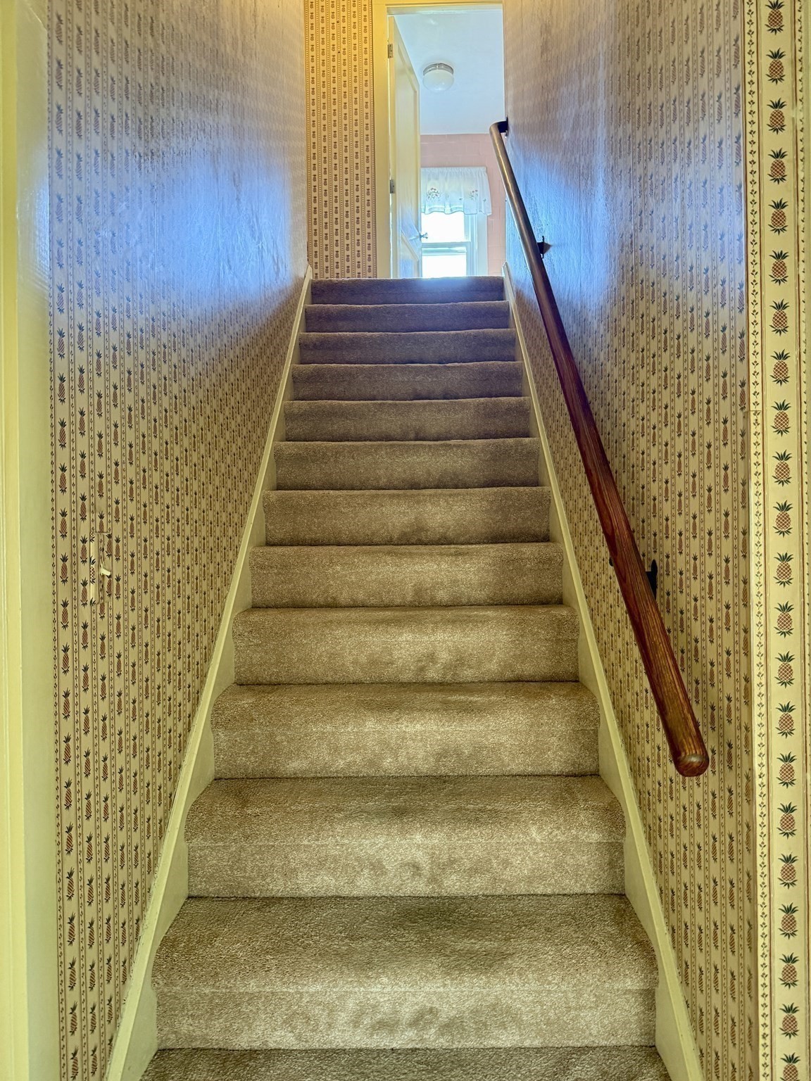 16 Pauline St Property Photo 19
