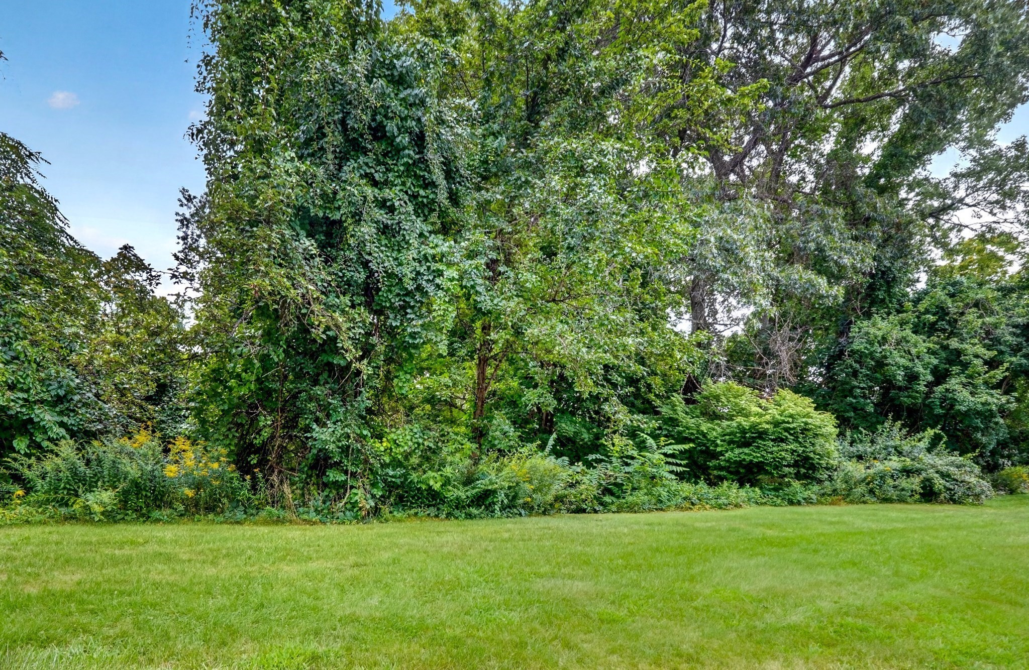 35 Mitchell Grant Way # 35 Property Photo 30