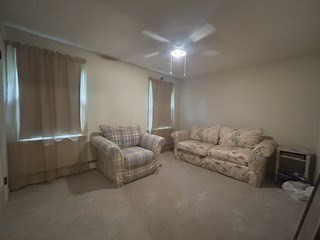 317 New Sherborn Rd Property Photo 27