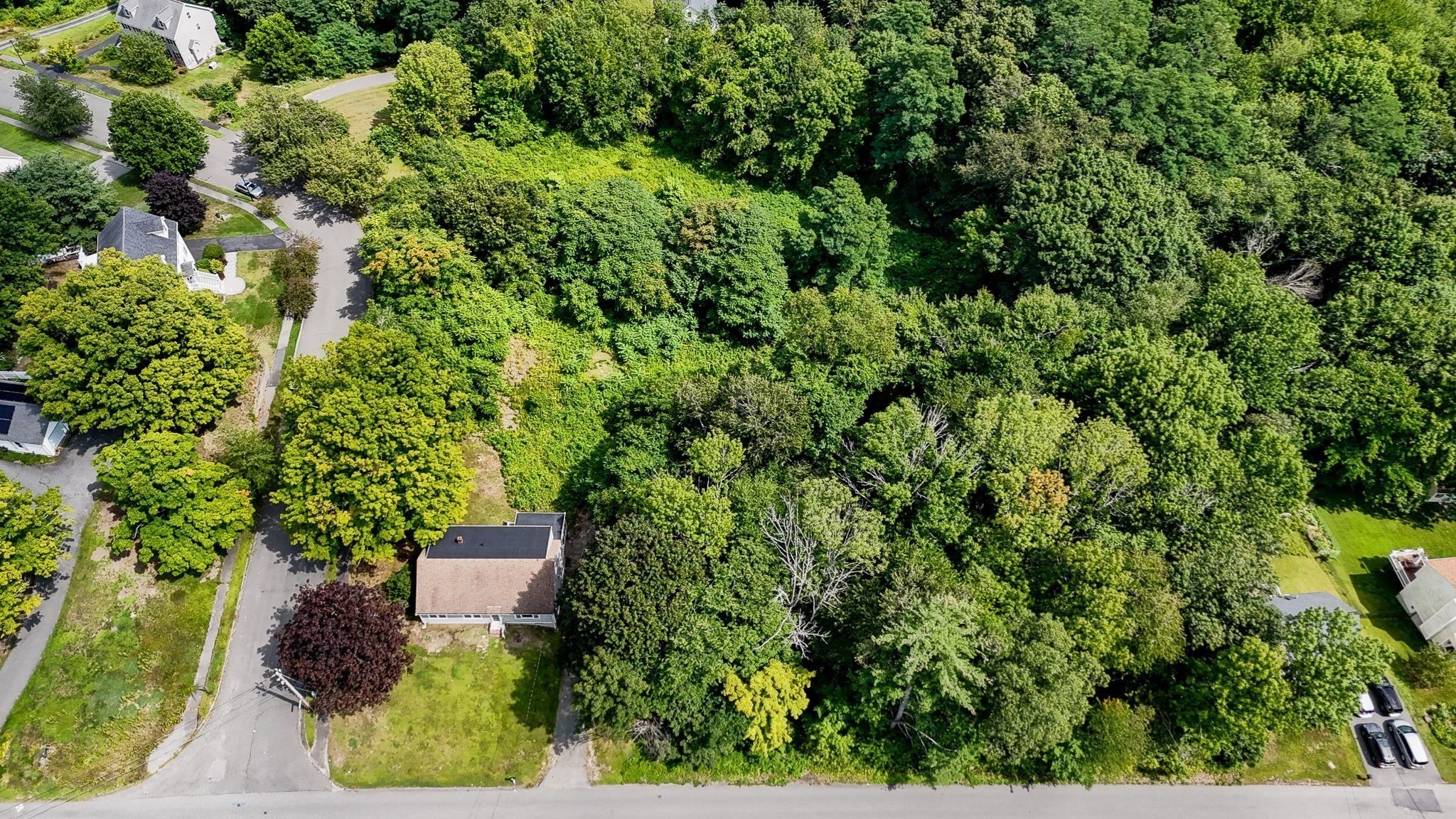 129 Forest St Property Photo 3
