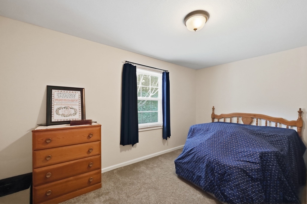 62 Clyde Avenue Property Photo 30