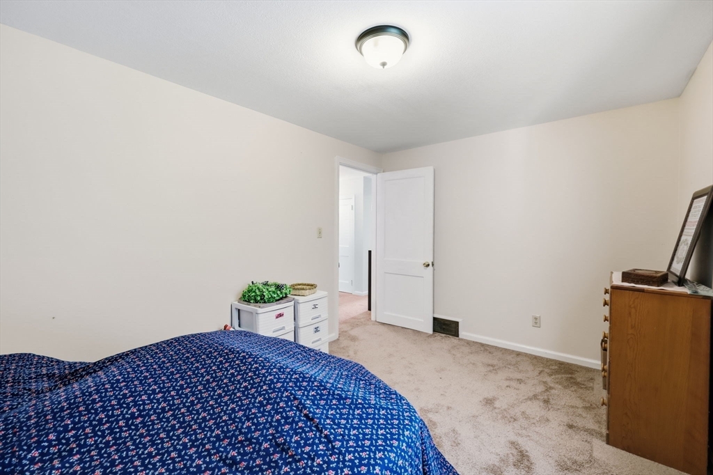 62 Clyde Avenue Property Photo 31