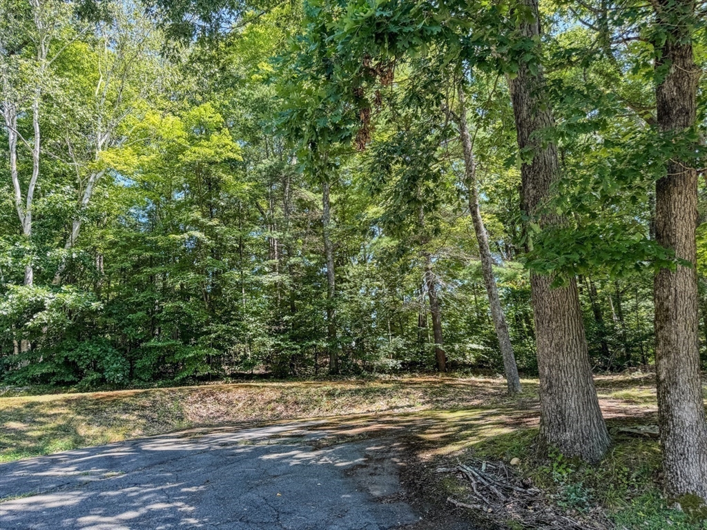 191 Old State Road Property Photo 35