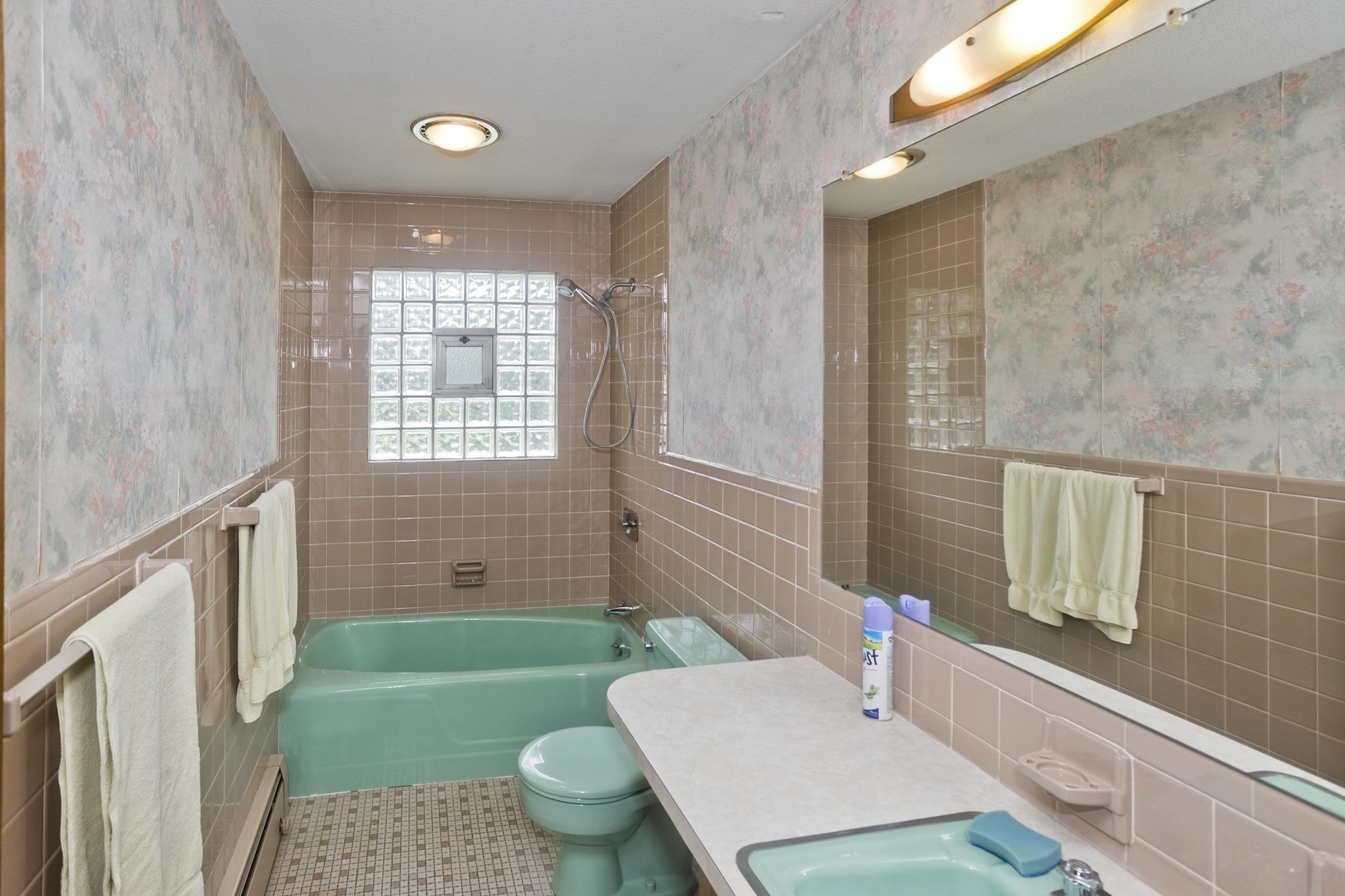 233 Lathrop St Property Photo 22