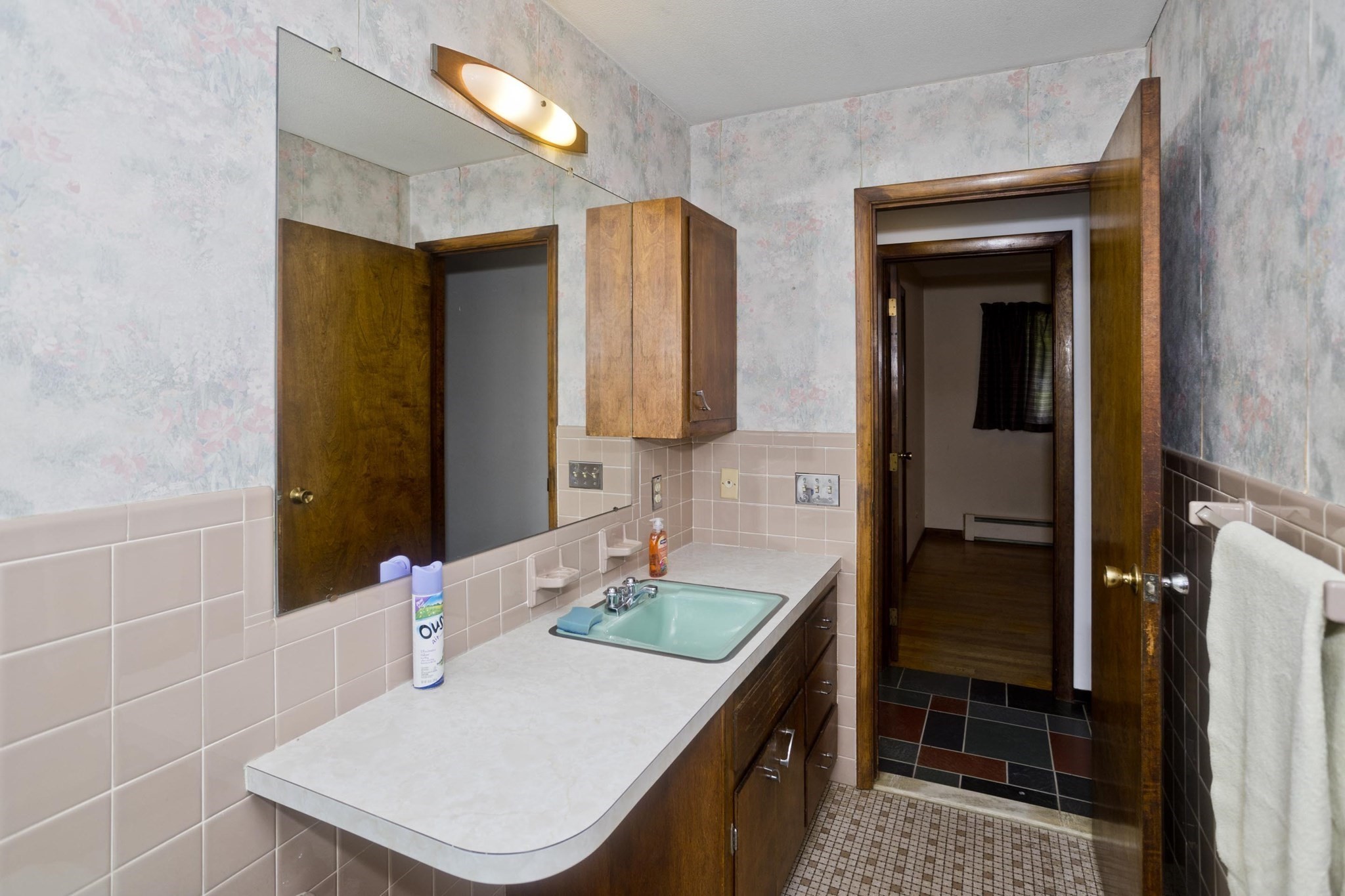 233 Lathrop St Property Photo 23