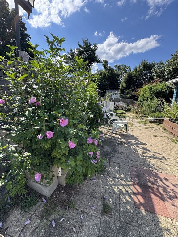 93 Marguerite St Property Photo 17