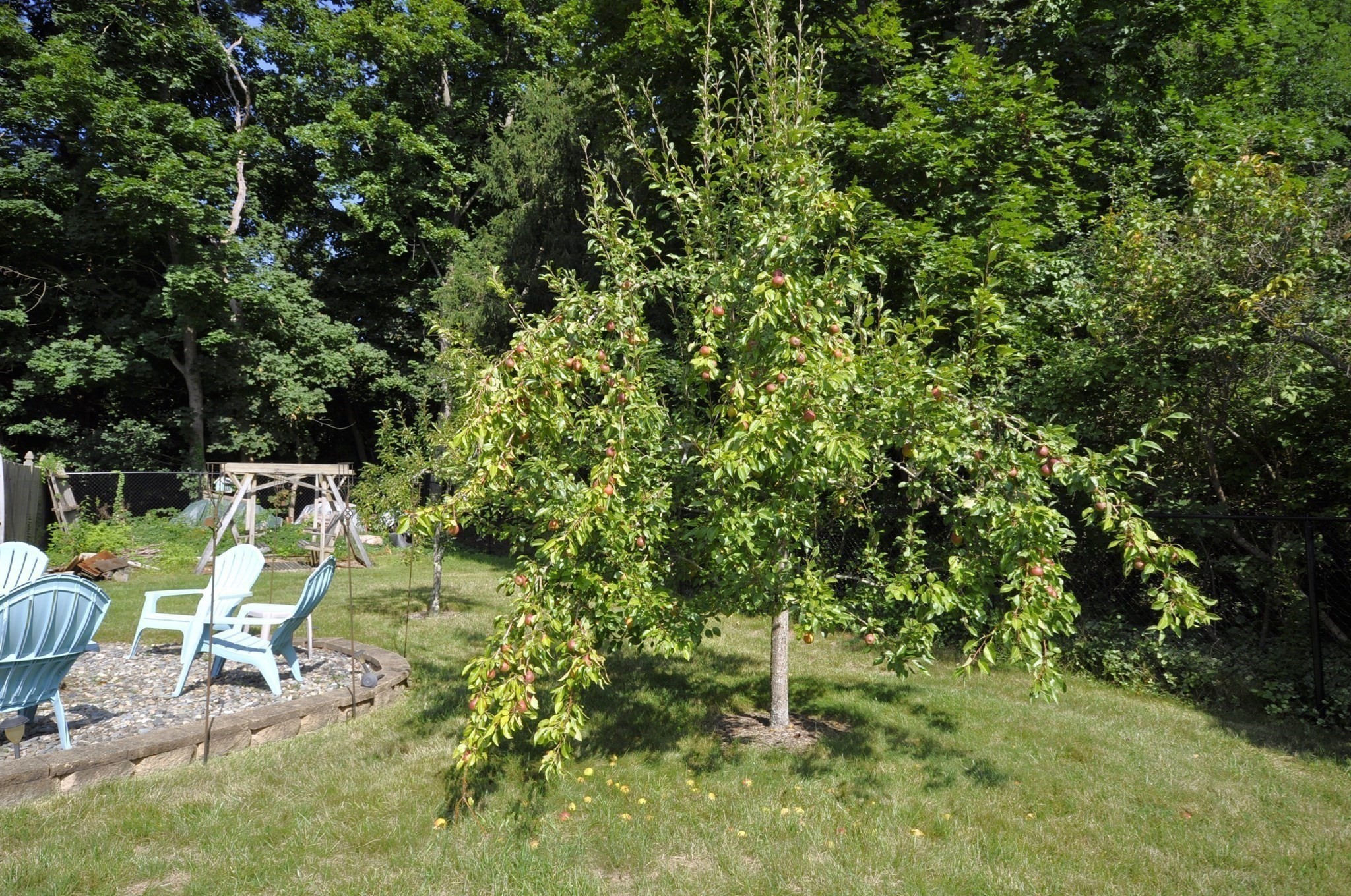 32 Brenda Ave Property Photo 28