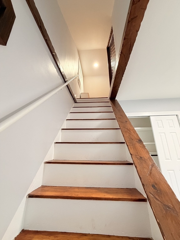 11 Thornfell St Property Photo 18