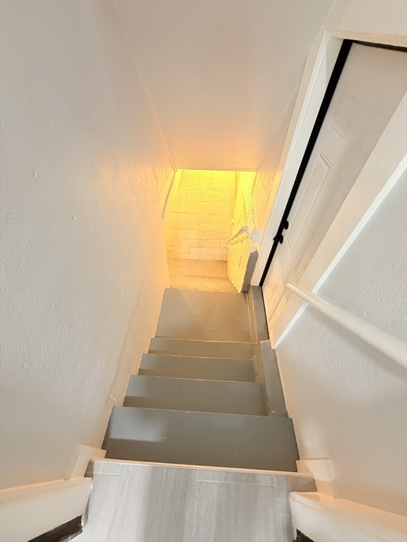 11 Thornfell St Property Photo 25