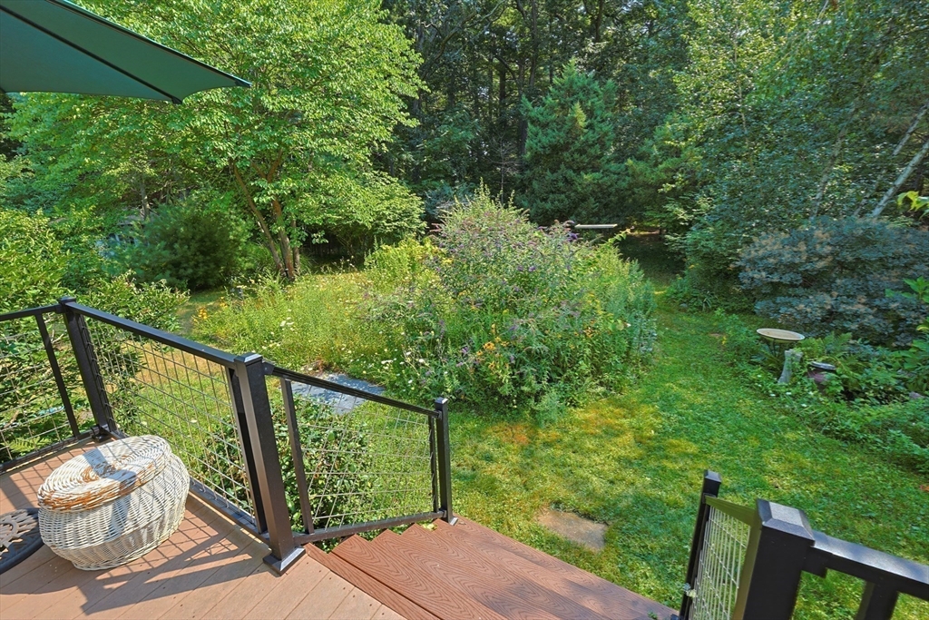 39 Norwood St Property Photo 23