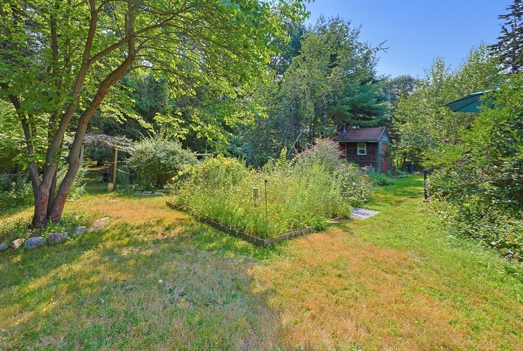 39 Norwood St Property Photo 25