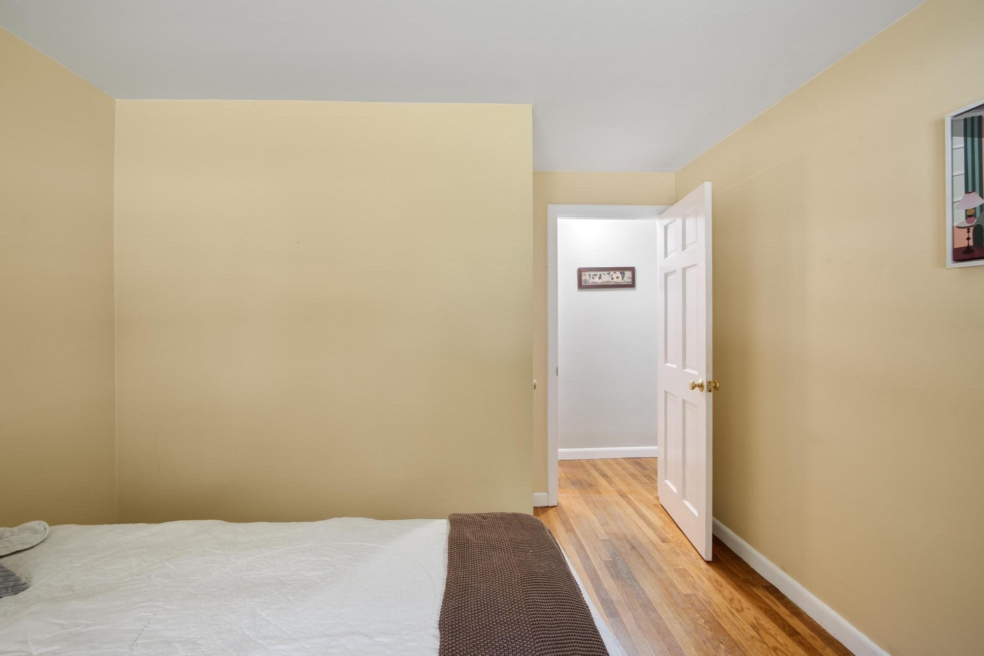 9 Elm Road Property Photo 20