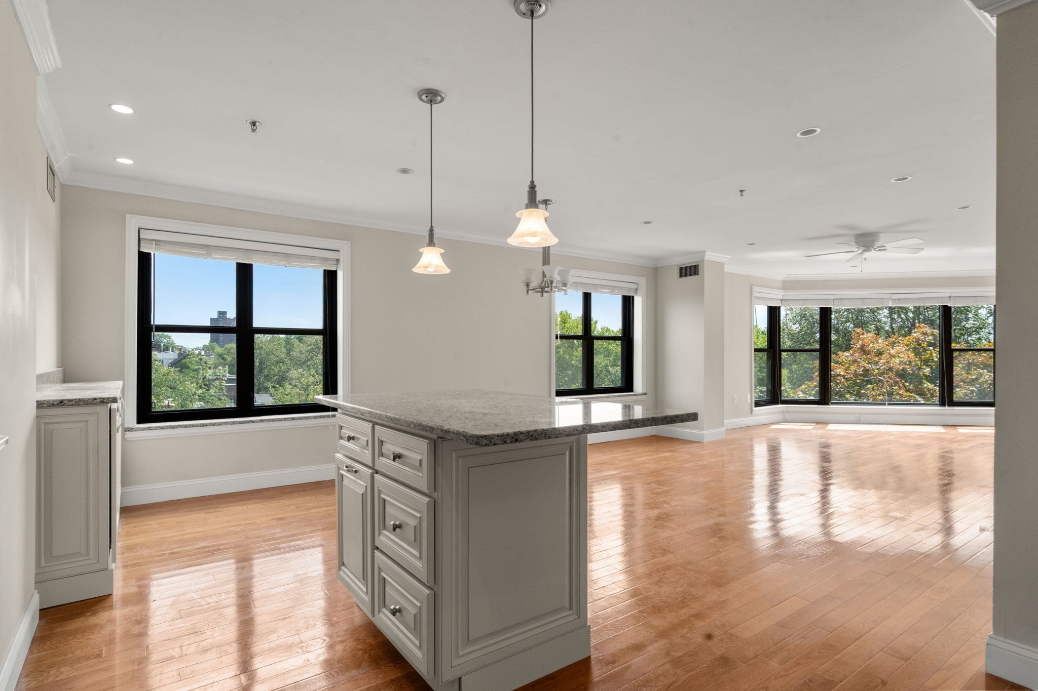 16 Harcourt # 5g Property Photo 26