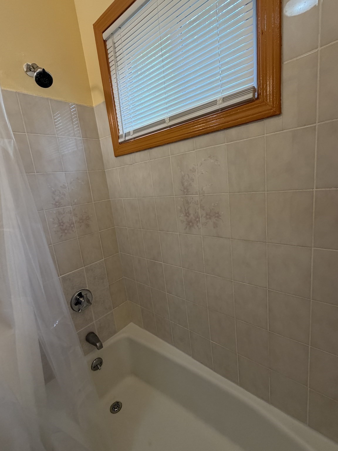 15 Holden Street # 2 Property Photo 9