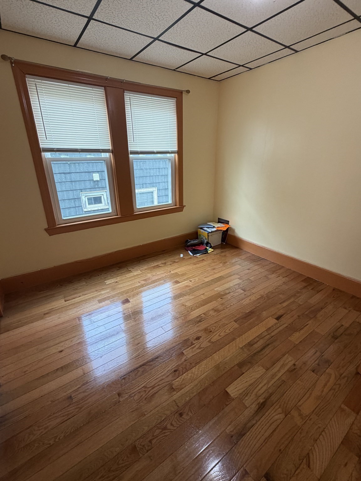 15 Holden Street # 2 Property Photo 15