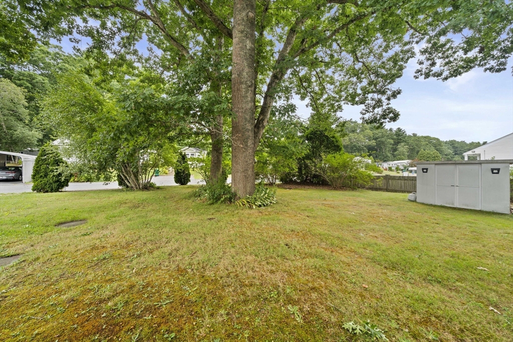 31 Beechwood Road Property Photo 6