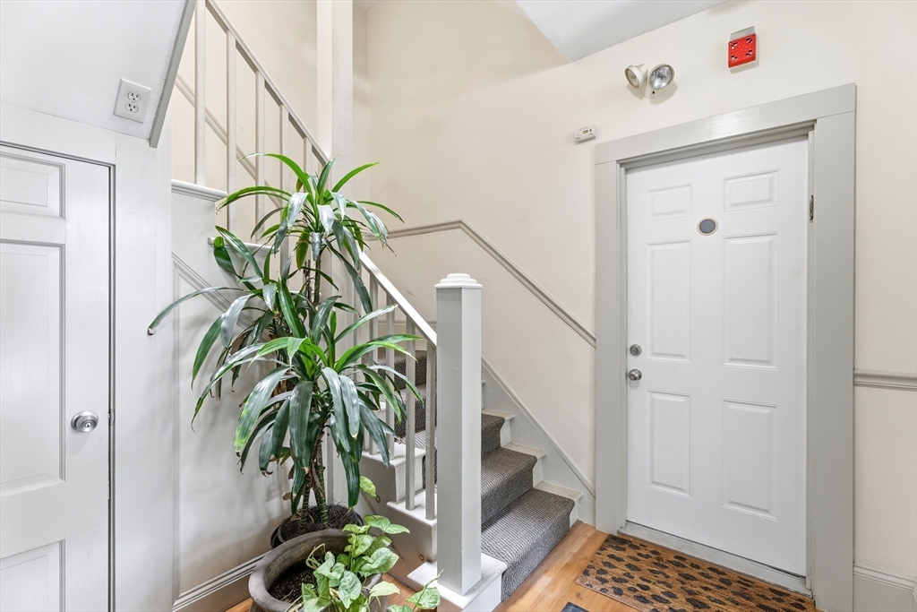 32-34 Ditson St # 2 Property Photo 29