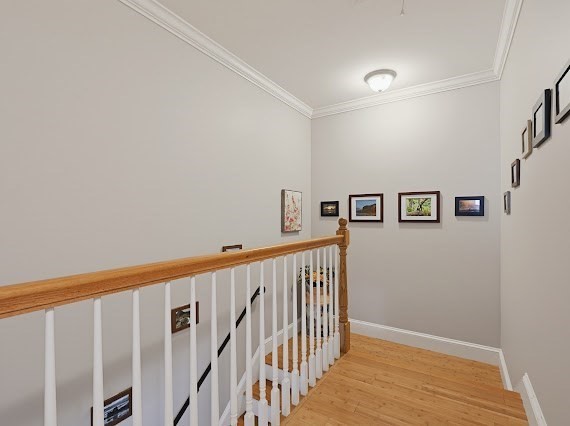 93 Rosewood Dr # 93 Property Photo 15