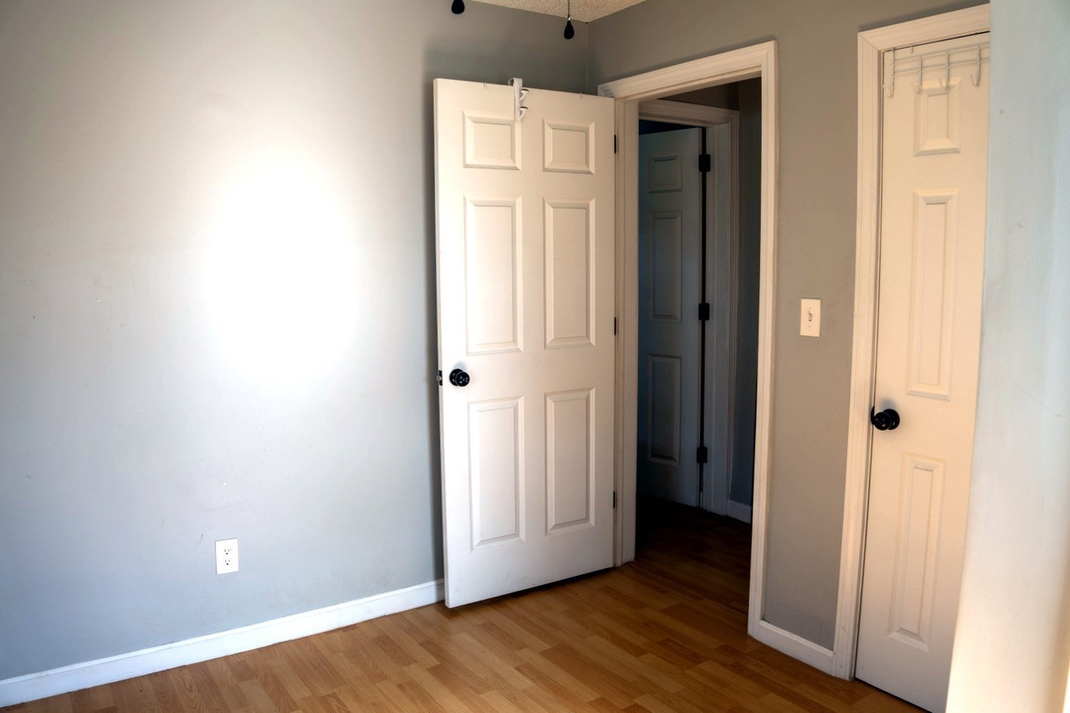 1388 Bay St Property Photo 32