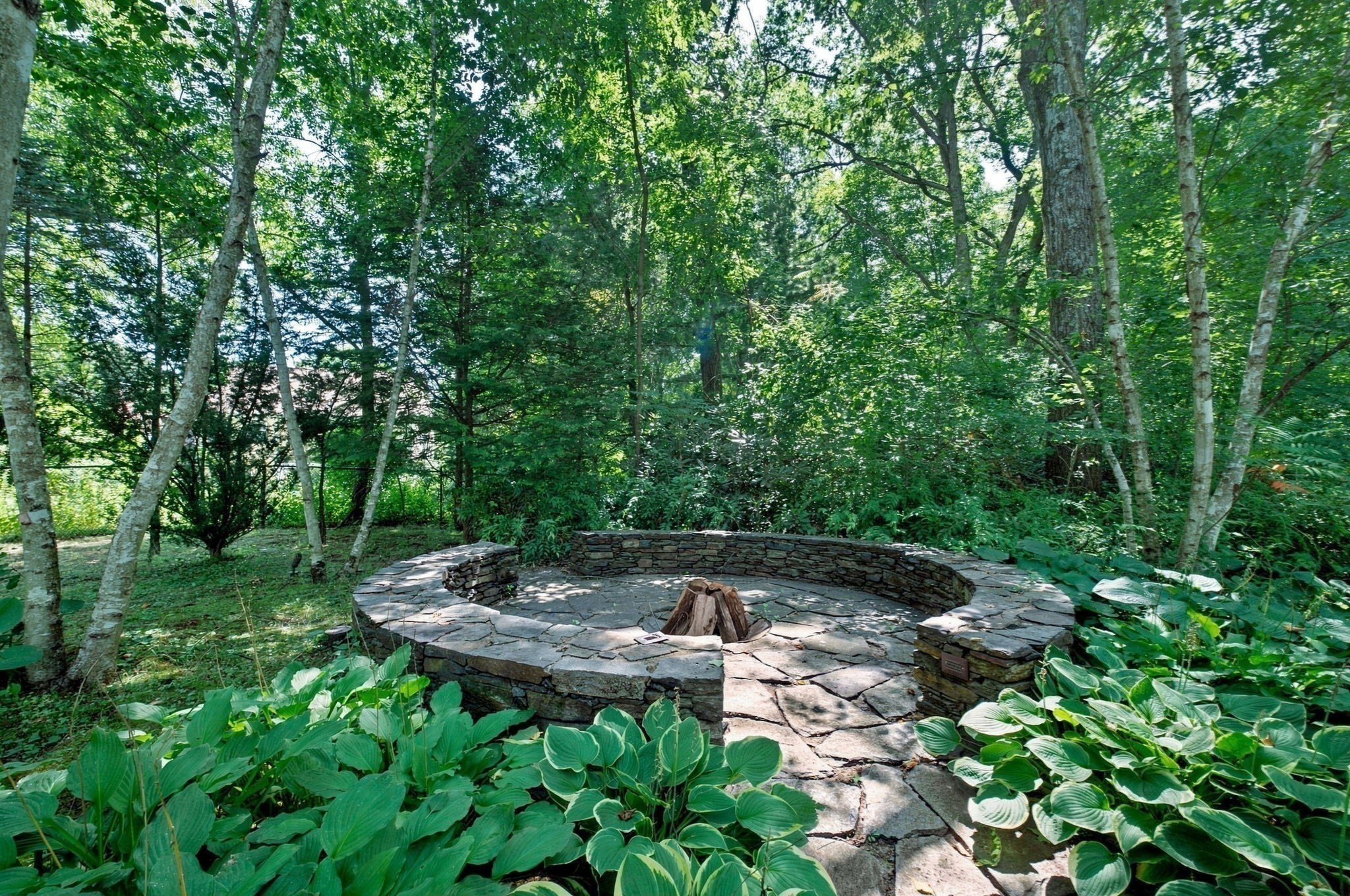 79 Silver Birch Road Property Photo 8