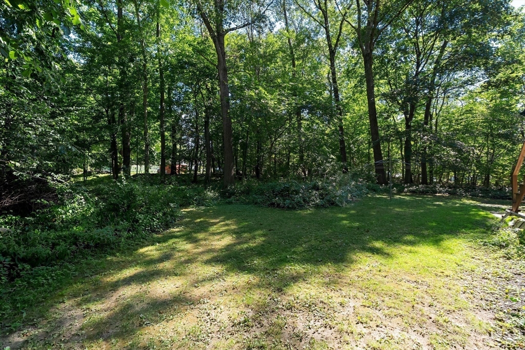 8 Dana Rd Property Photo 36