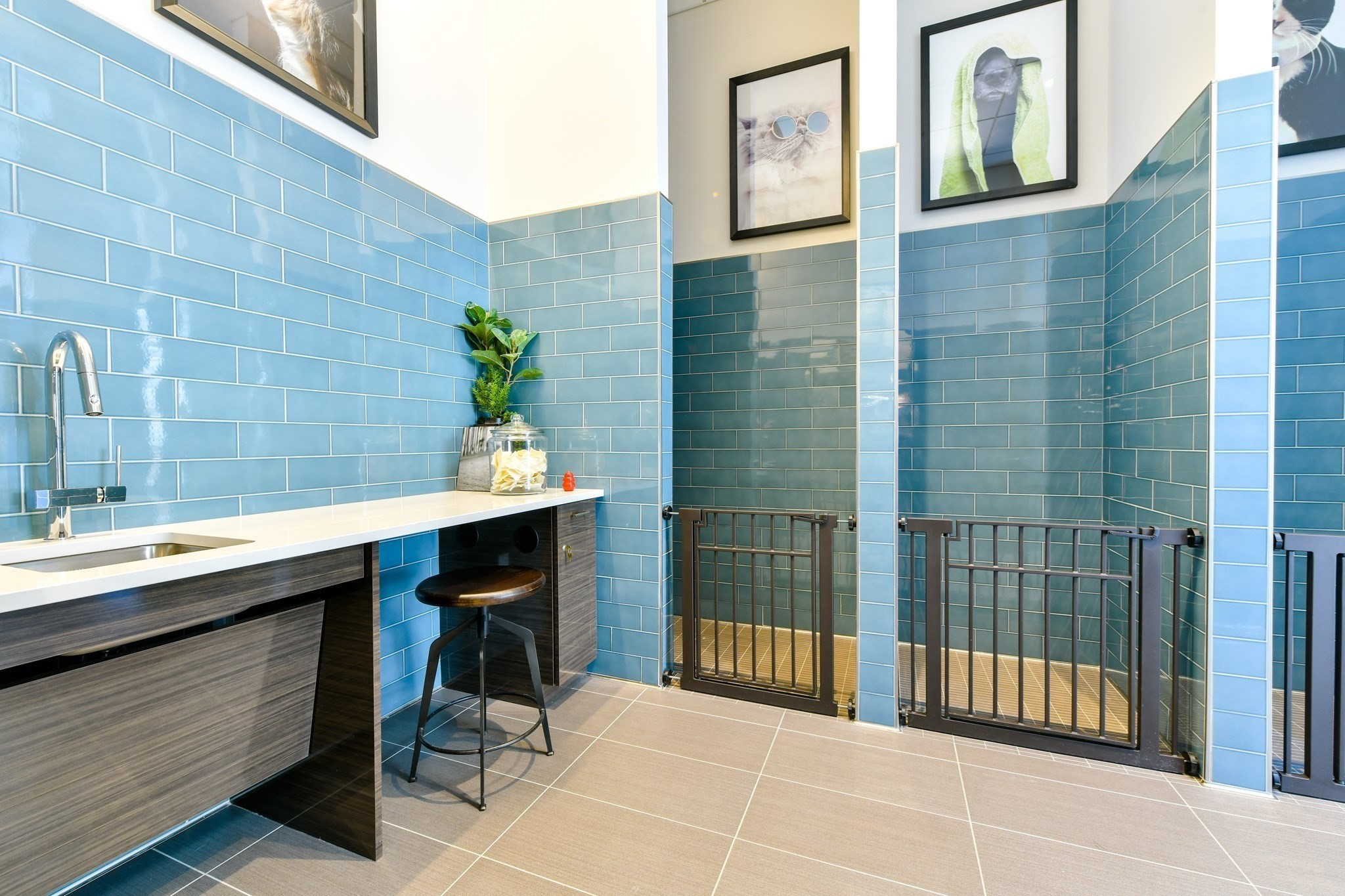 110 Sudbury St # 4603 Property Photo 41