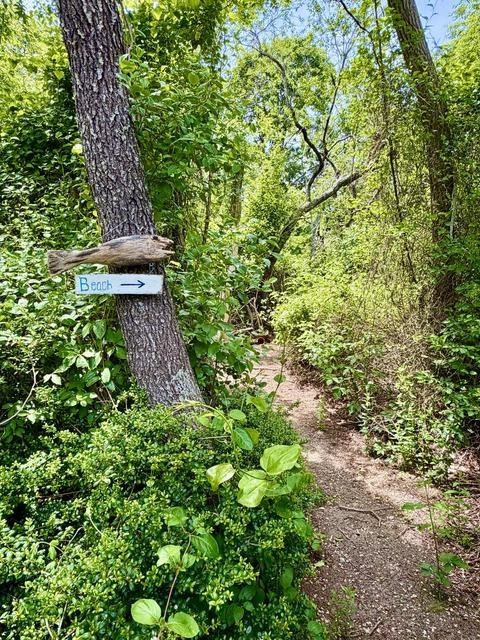 65 Pilgrims Path Property Photo 39
