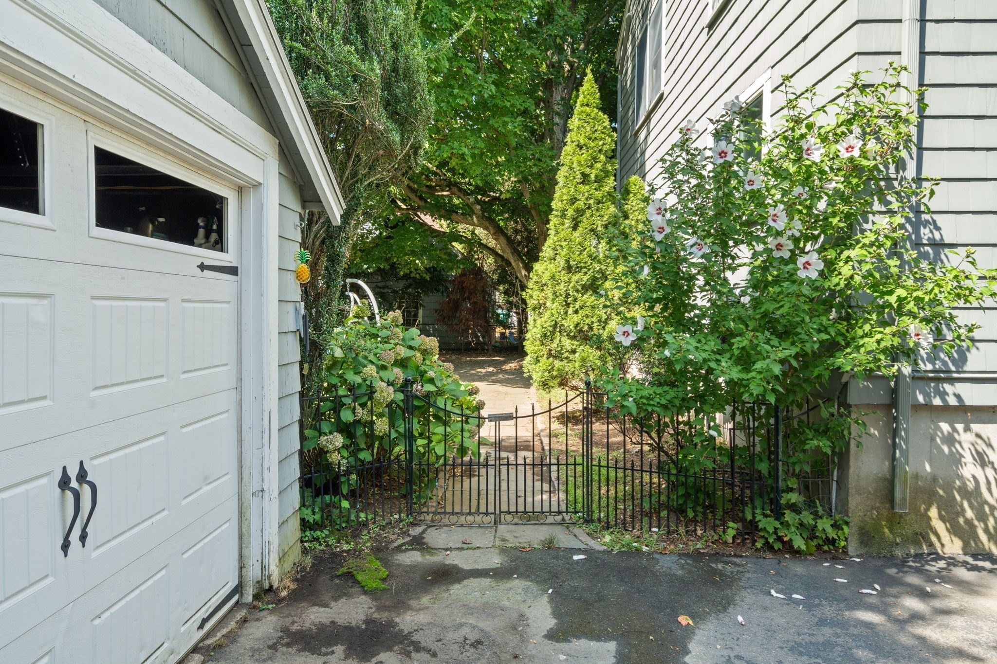 24 Holland St Property Photo 28