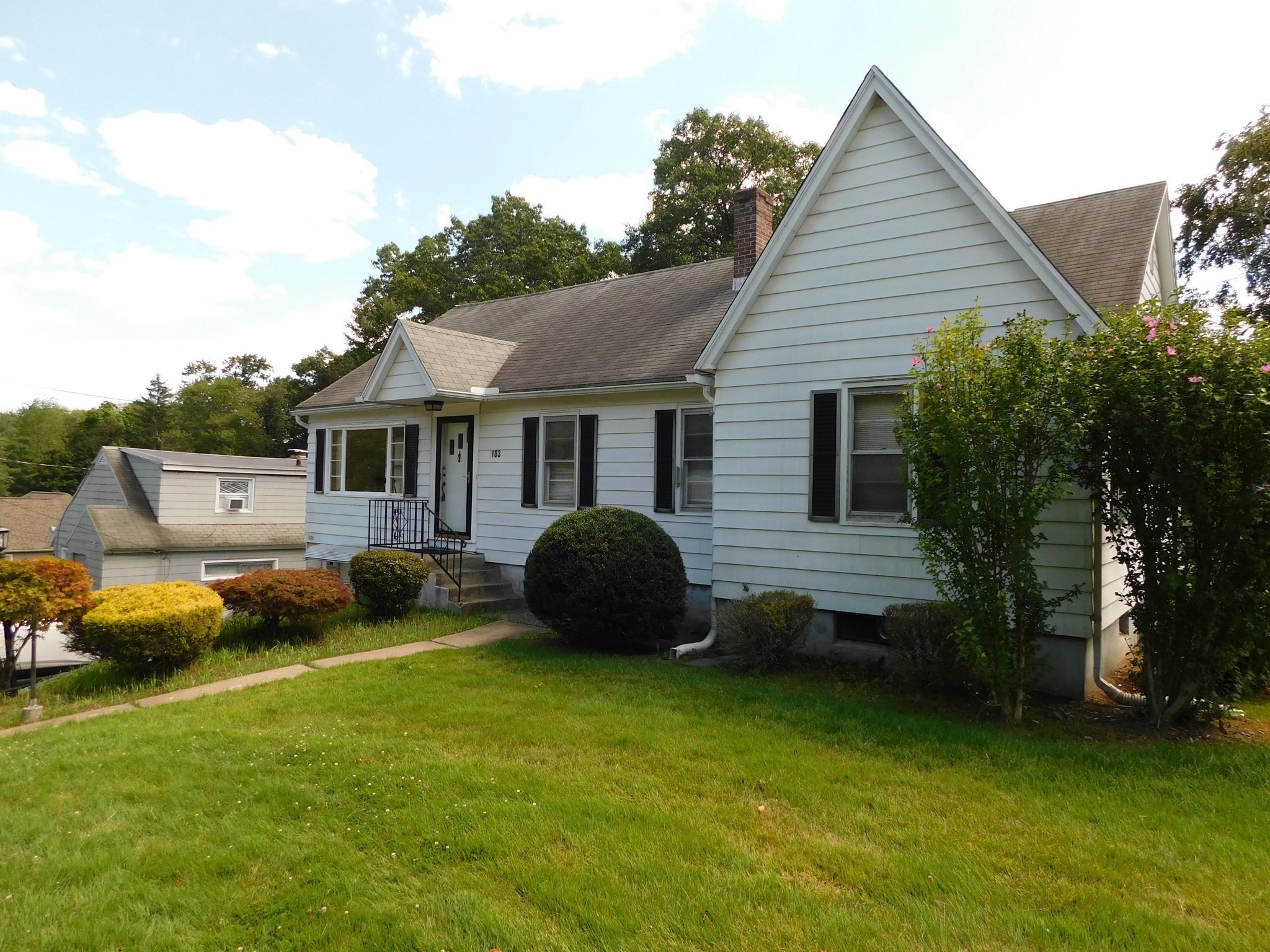 103 Chester Street Property Photo 1