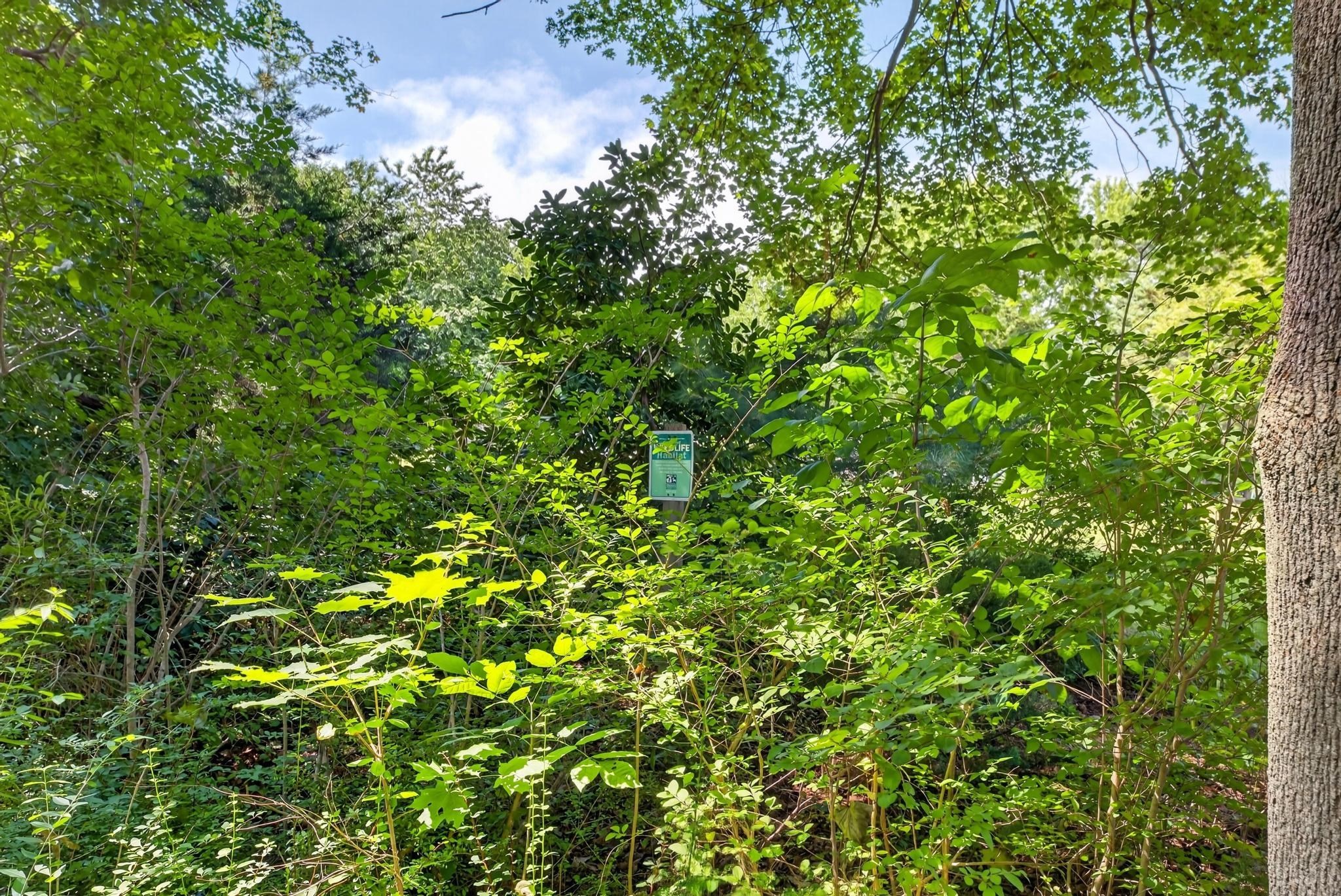 61 Highland Avenue Property Photo 40