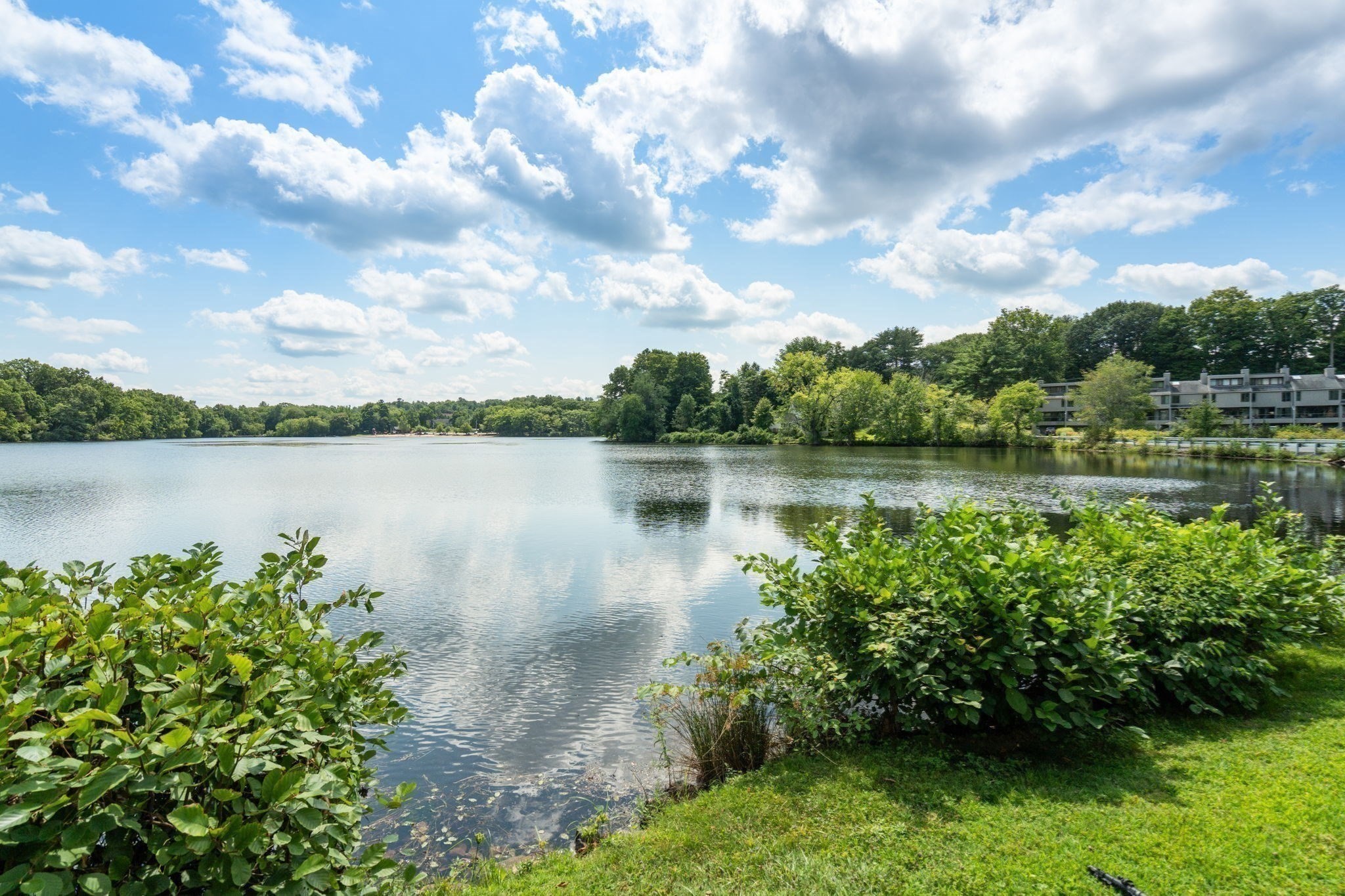 50 Mill Pond # 50 Property Photo 10