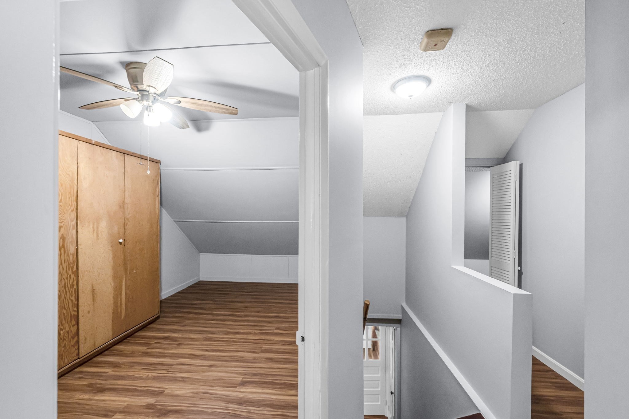 51 David St Property Photo 25