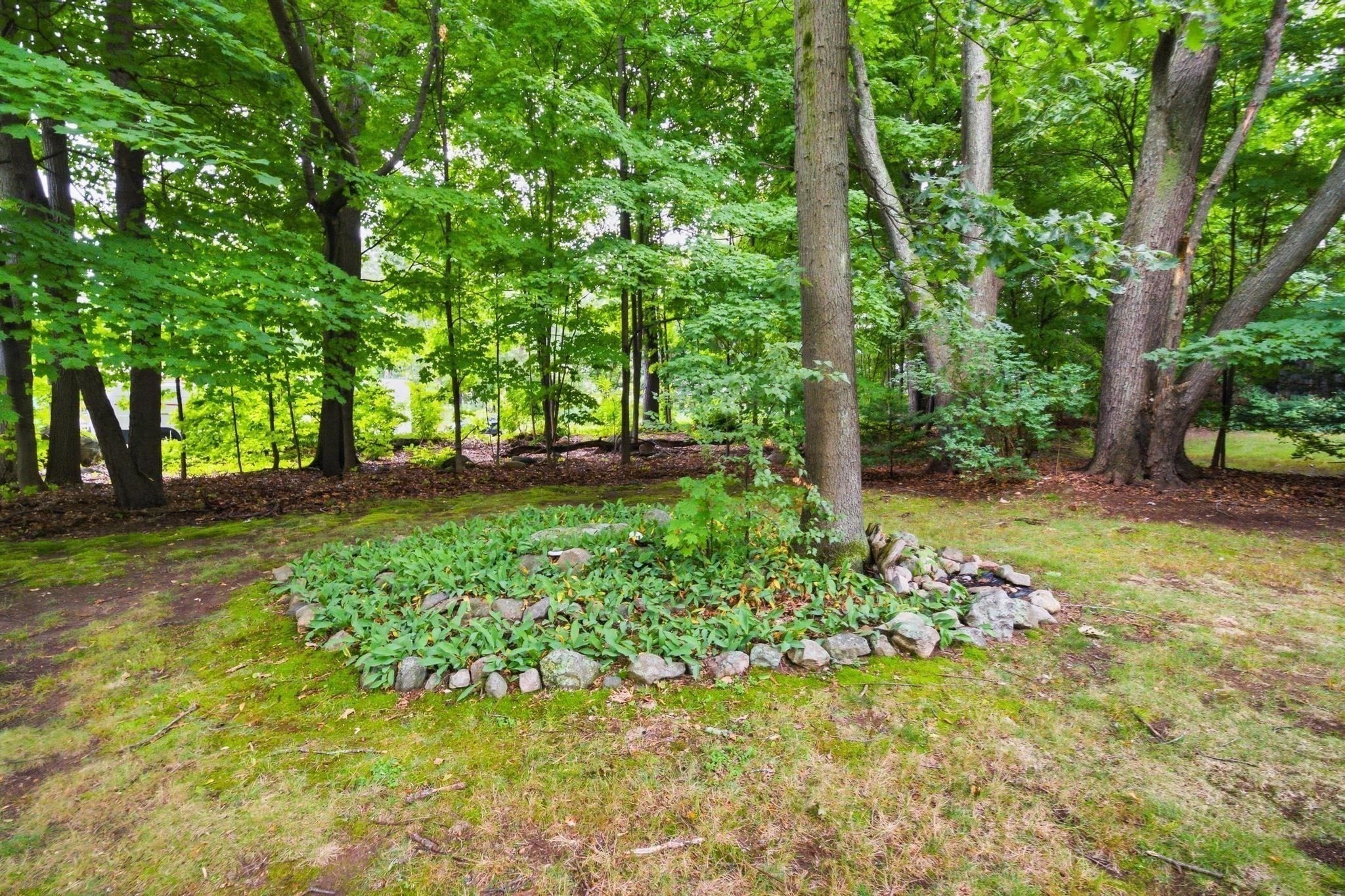 219 Montvale Property Photo 5