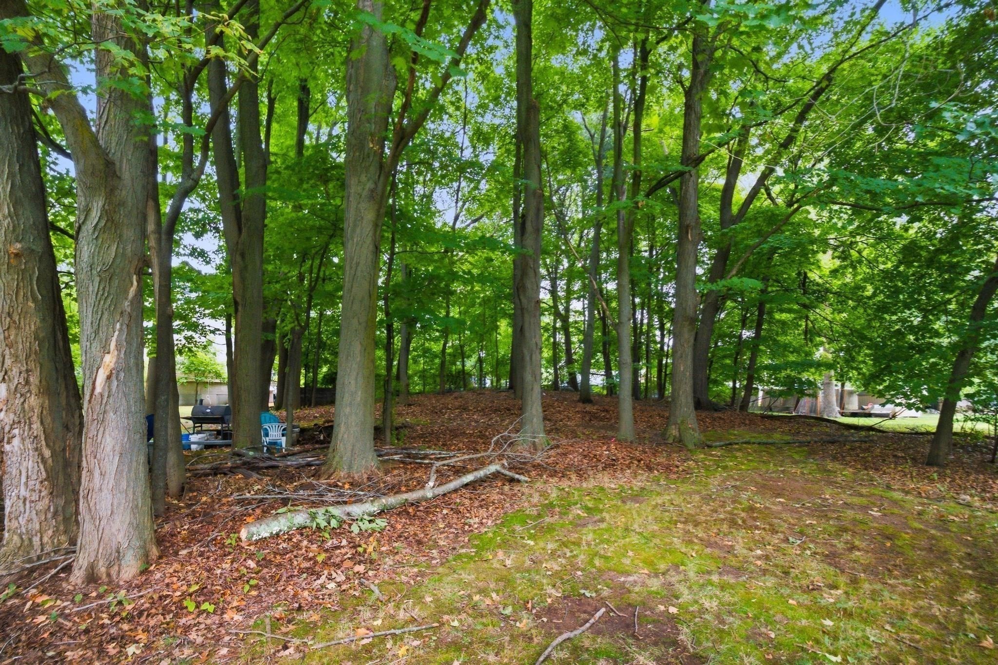 219 Montvale Property Photo 7