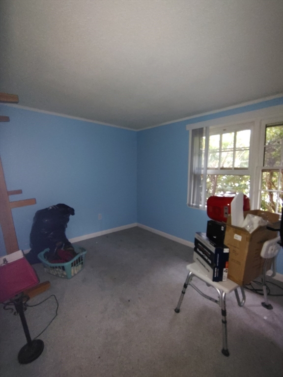 7 Christopher Dr Property Photo 12