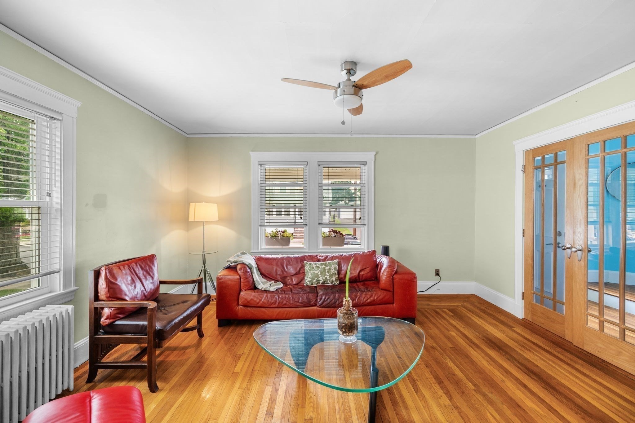 43 Archer Street Property Photo 17