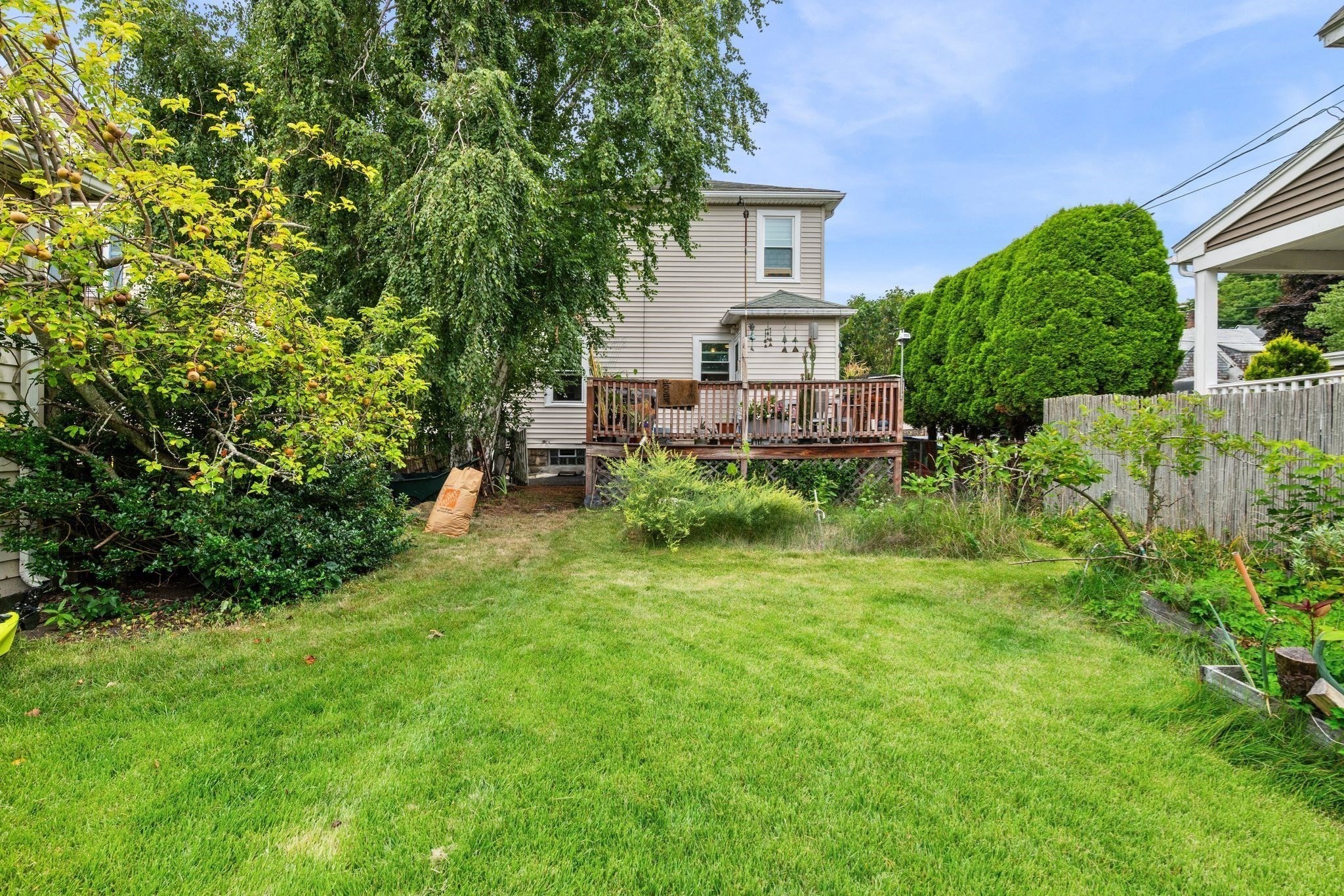 43 Archer Street Property Photo 32