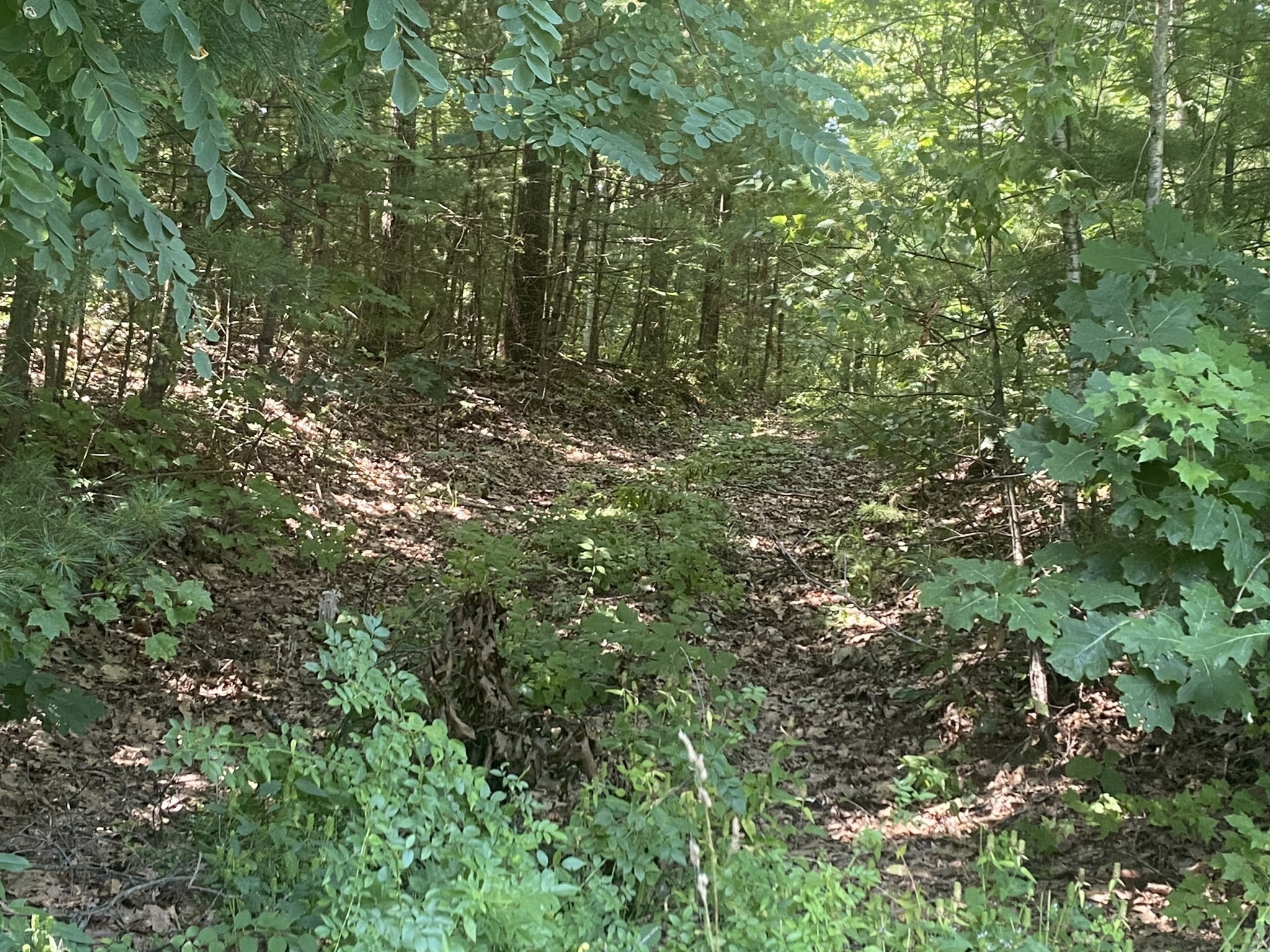 Lt 73 73.1 Old Gilbertville Rd Property Photo 8