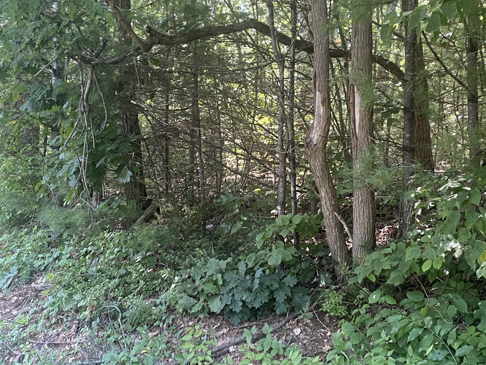 Lt 73 73.1 Old Gilbertville Rd Property Photo 9