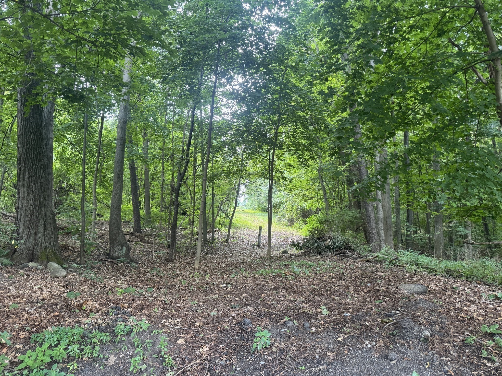 Lot 2 O'neil Drive Property Photo 8