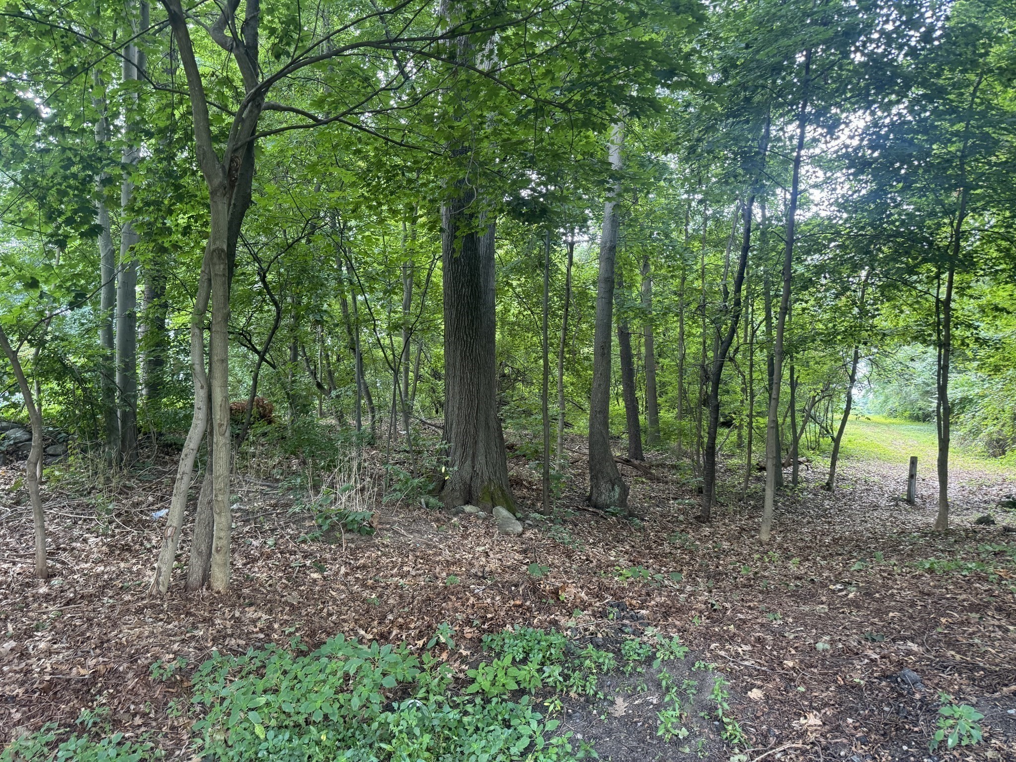 Lot 2 O'neil Drive Property Photo 10