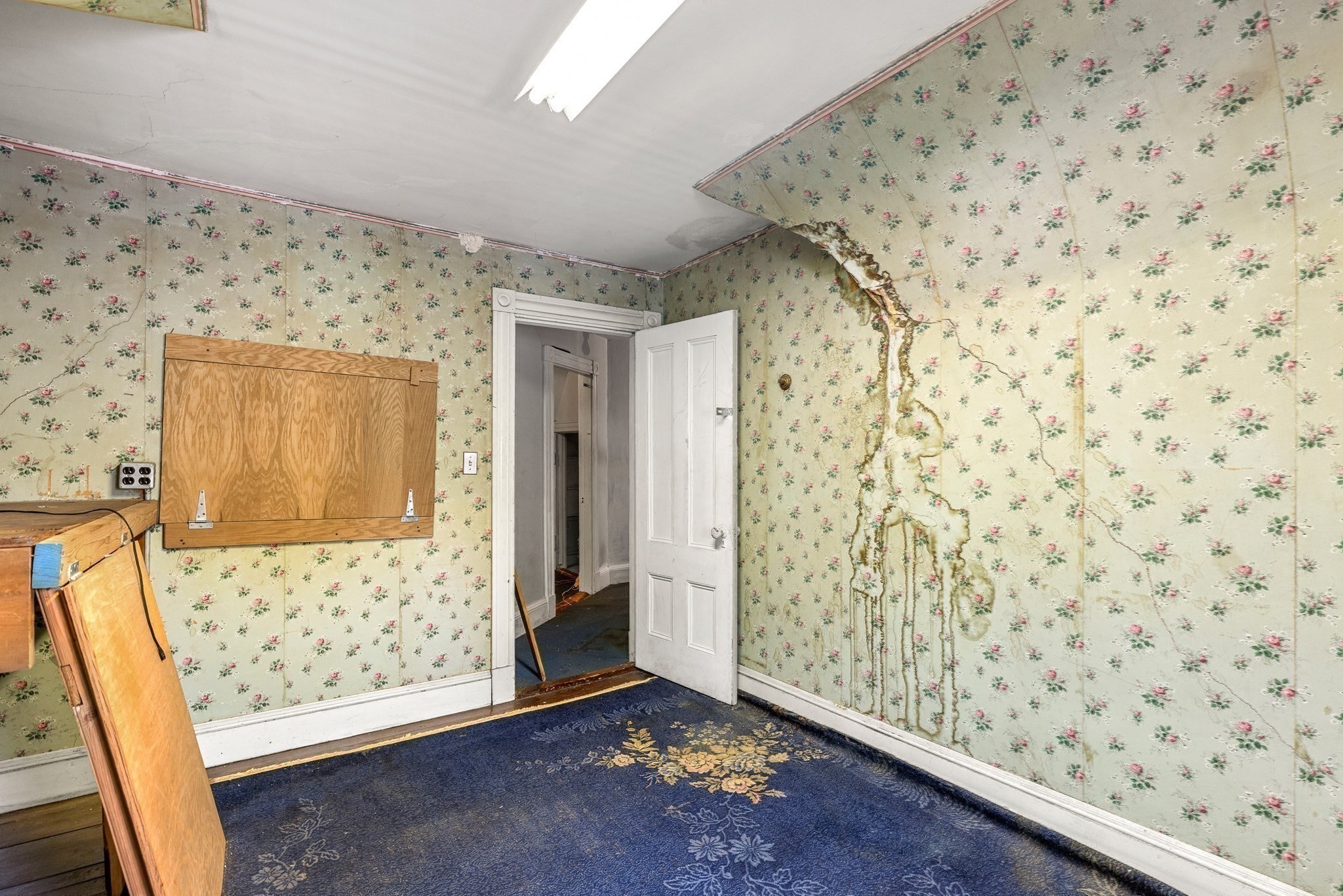16 Holmfield Ave Property Photo 21
