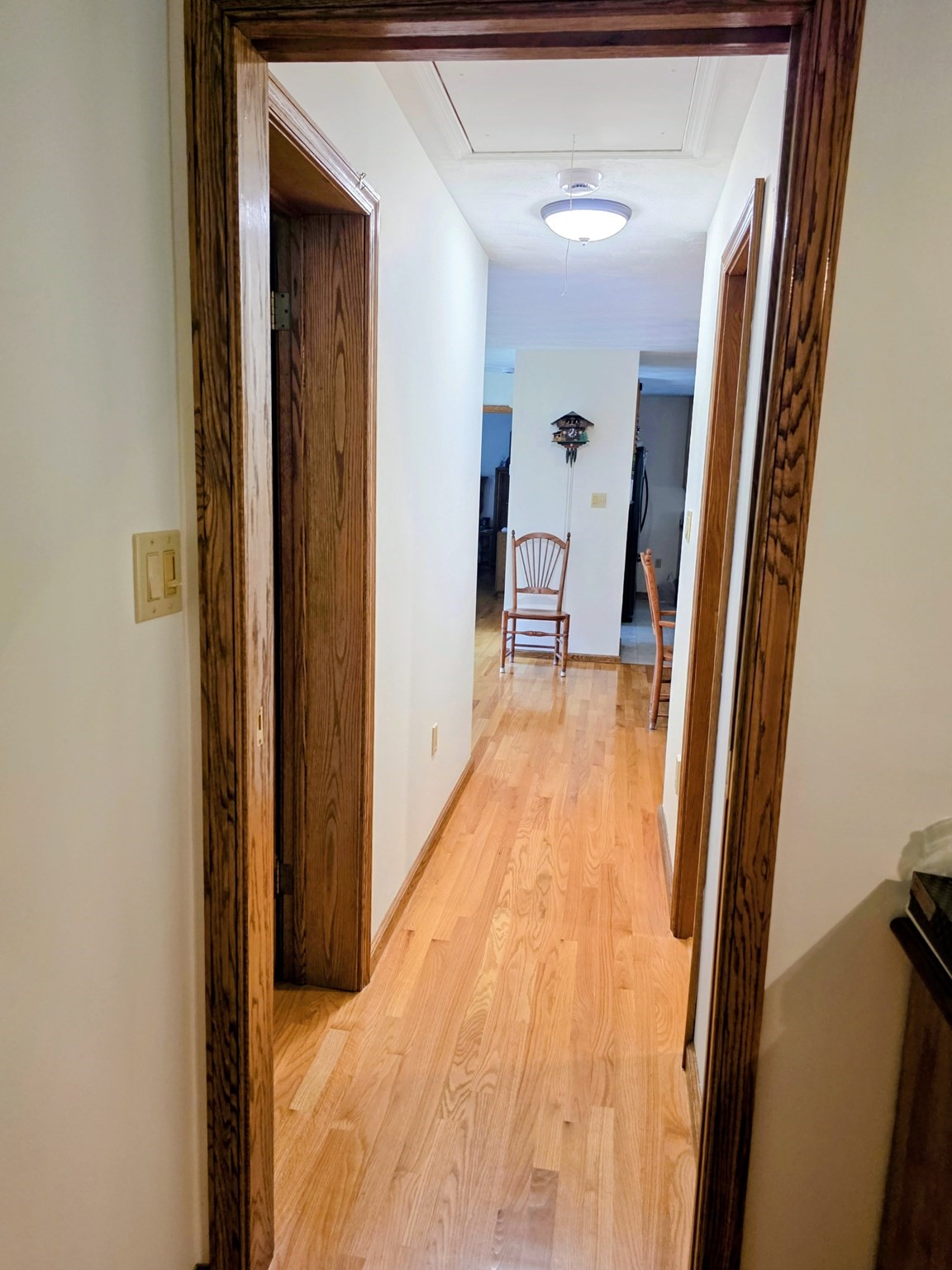 388 Sherbert Rd Property Photo 19