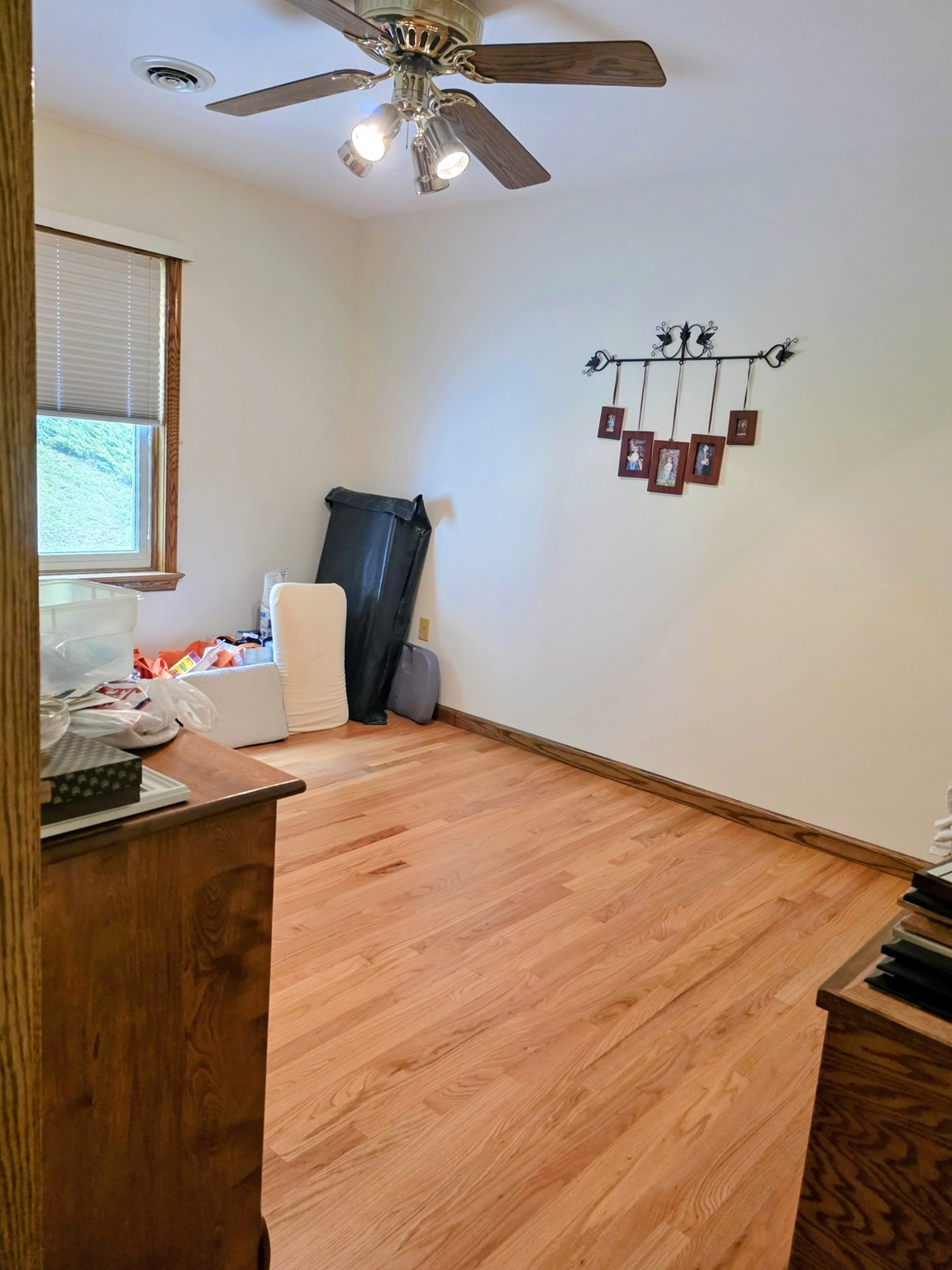 388 Sherbert Rd Property Photo 23
