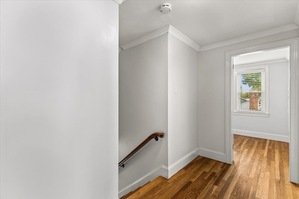 14 Whitehill St Property Photo 28