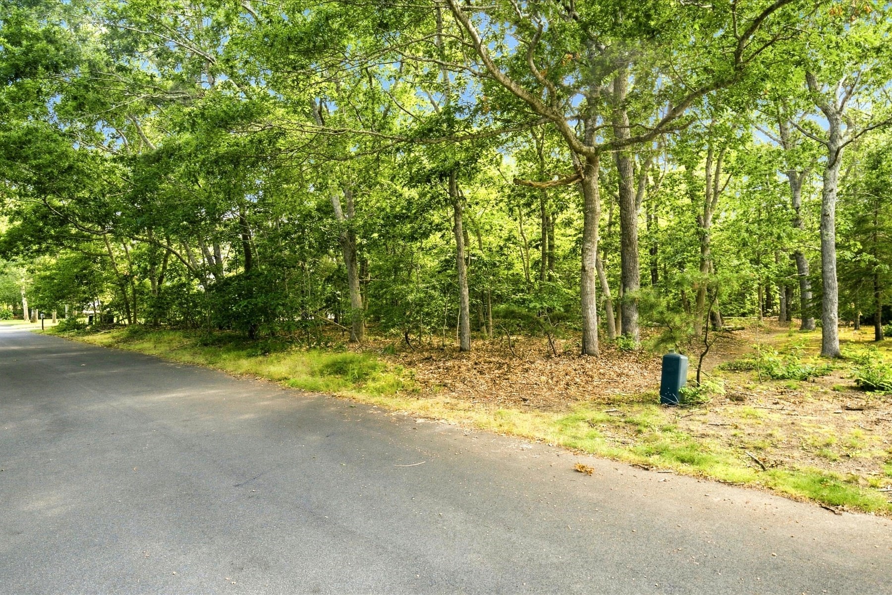 35 Danielle Drive Property Photo 12
