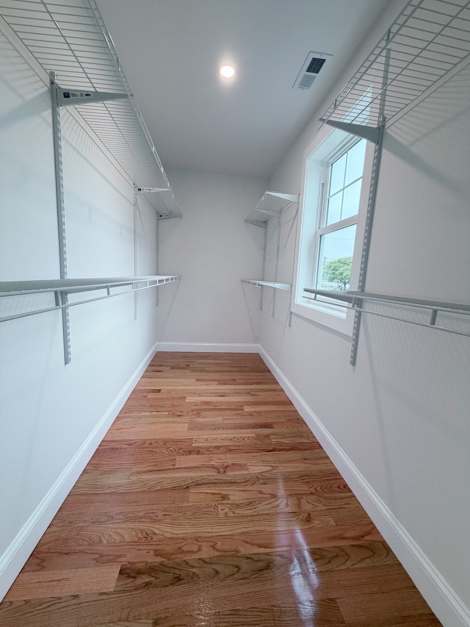 59 Sparks Street Property Photo 11