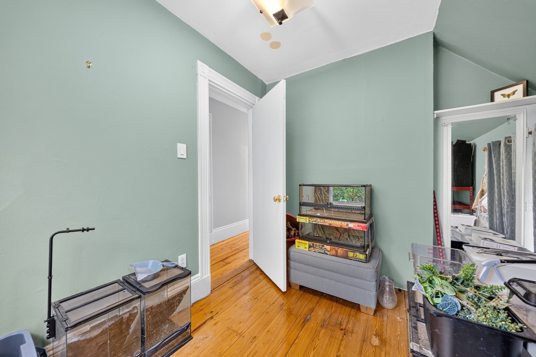 3 Round Hill St Property Photo 12