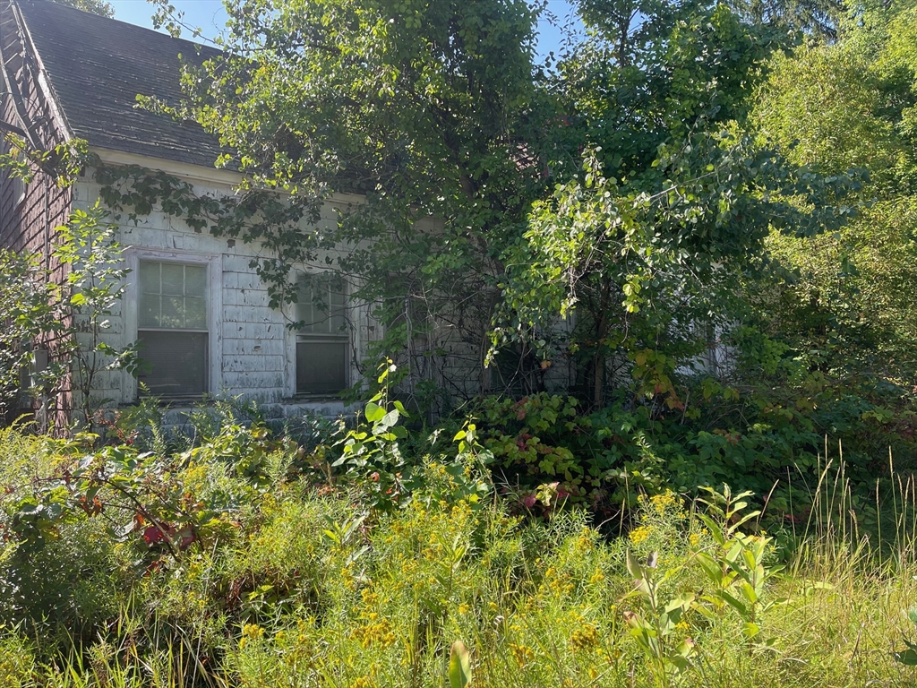 16 Liberty St Property Photo 1