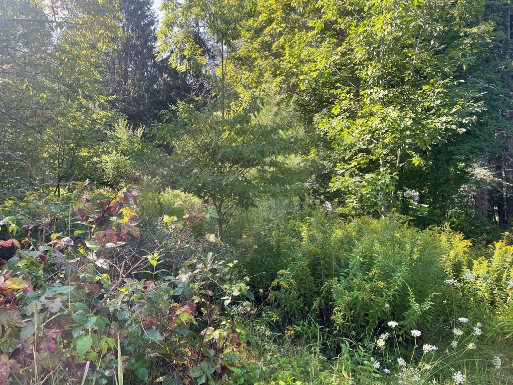 16 Liberty St Property Photo 2